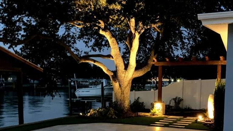 Outdoor Landscape With Large Tree Design