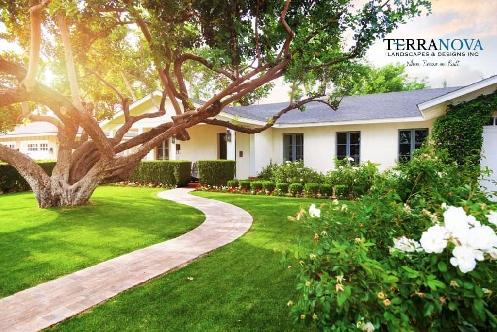 Terranova Landscapes and Designs Serving Tampa Bay and Pinellas County
