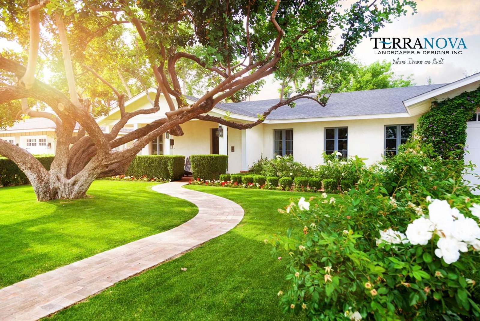 Terranova Landscapes and Designs Serving Tampa Bay and Pinellas County