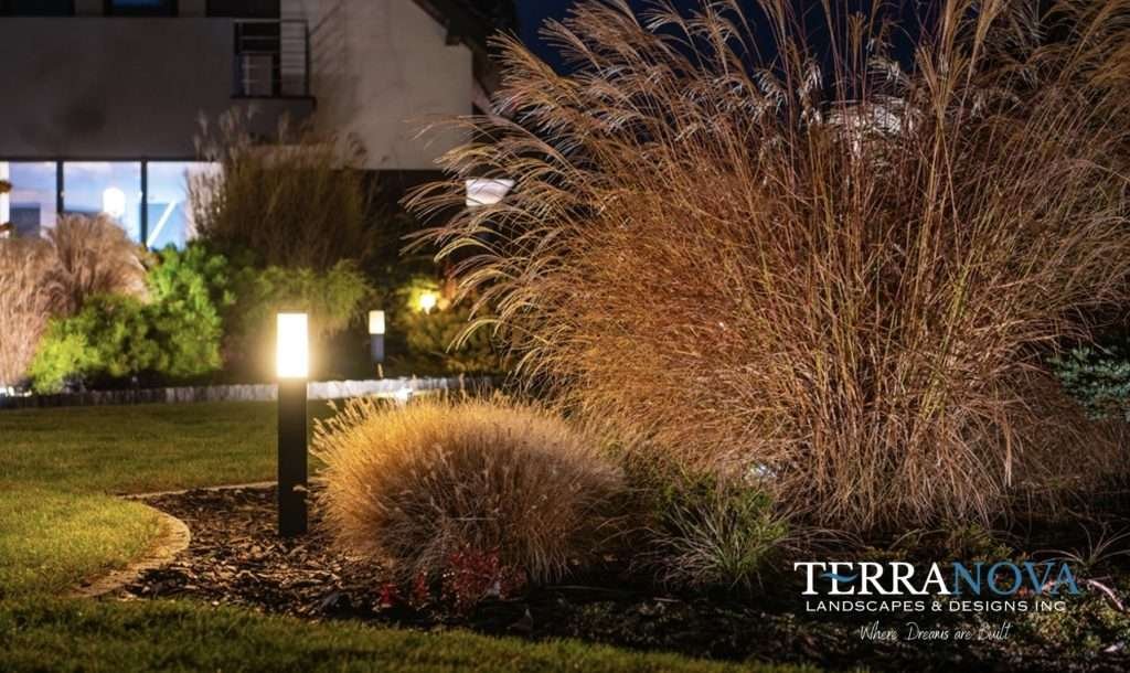 Clearwater Designing Landscapes That Increase Property Value