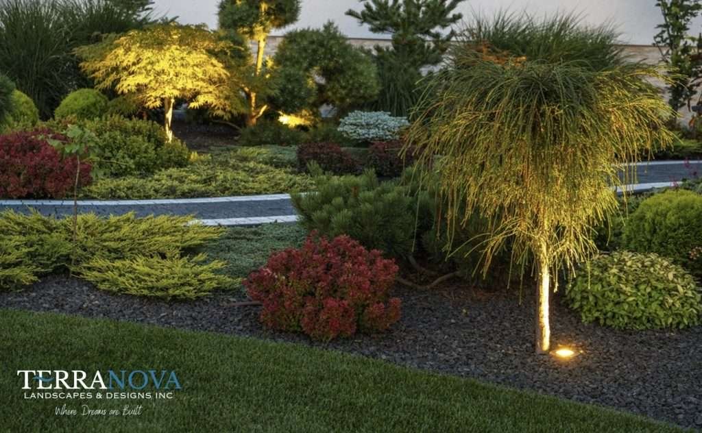 Improve your property value with smart landscaping in Tampa, Florida