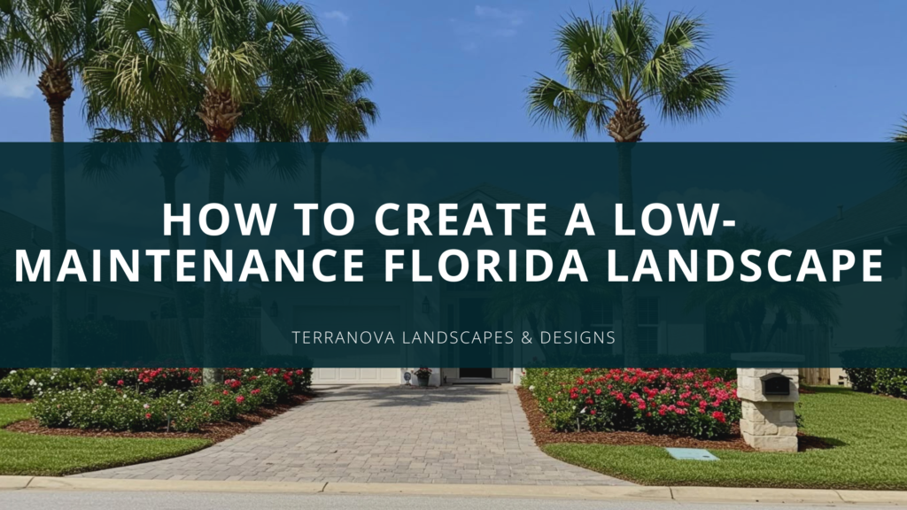 How to Create a Low-Maintenance Florida Landscape
