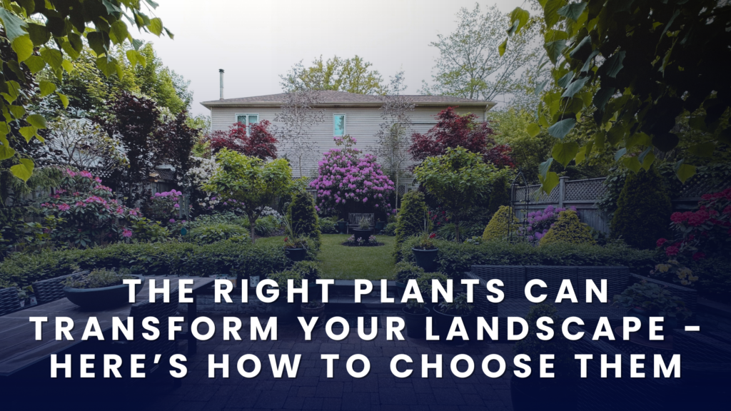 plants-for-landscape